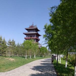虞洋595头像