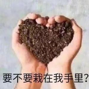 能吃就行头像