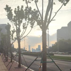 小编足球头像