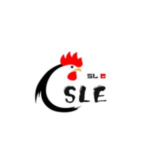 S人L间E影视头像