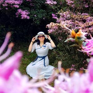 深山红牡丹头像