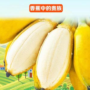 星域生鲜旗舰店头像