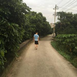 fz小小1头像