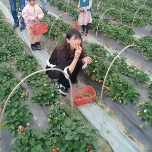 事叶有陈头像