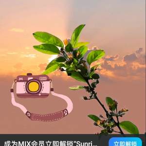 宁静摄影展头像