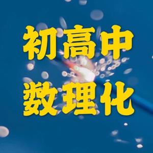 王董爱读书头像