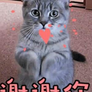 广州王老板头像
