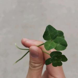 情感语录嗯 头像