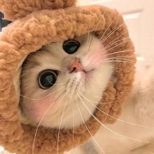 阿狗狗狗1124头像