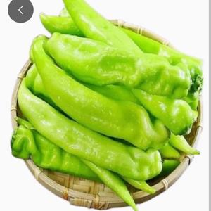 多才饼干M头像