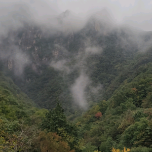 VW头像