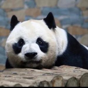 蹲街丶等月亮头像