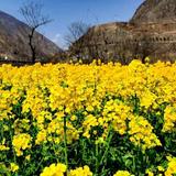 天天快乐影视中心头像