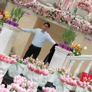 选哥在越南（海防）头像
