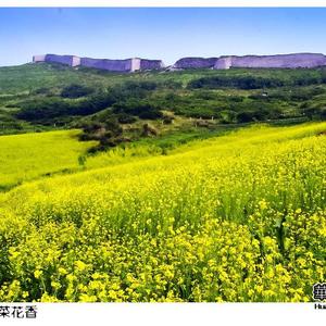 ,石来，头像