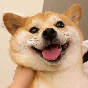 搞笑集中营头像