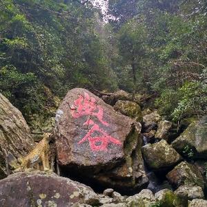 随心76480头像