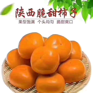 眉县太白山果业头像