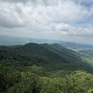 小石榴头像