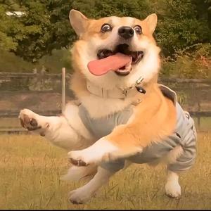 城南影视剪辑A头像