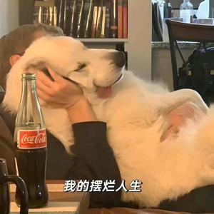 好好说话吧吧头像