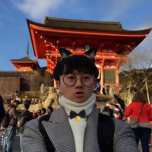 KPOP小懒牛头像