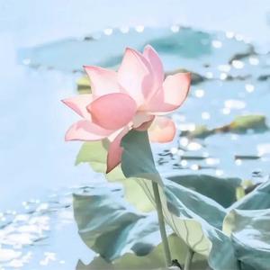 喜庆的海燕9uG头像