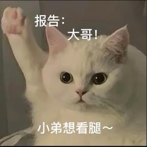朵朵说历史头像
