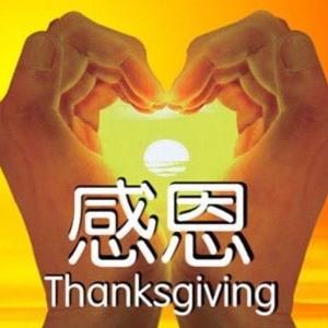 聊人生朱导师头像