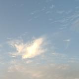 好奇橘子7T7头像