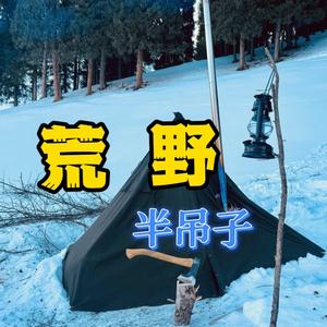荒野半吊子头像