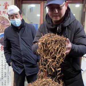 托马斯虫草大型供应链头像