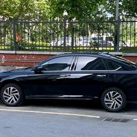 迷途de孤鸟头像