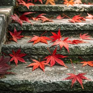 素梅馨语头像