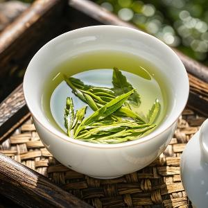 自在小猫n8头像