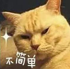 卡酷尼阿头像