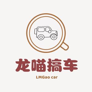 龙喵搞车(主搞两厢车）头像