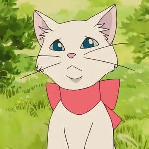 灿烂光束9头像