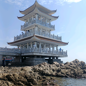 夏夏头像