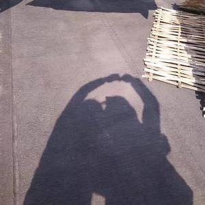 元宝宝头像