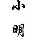 小明武侠风云头像