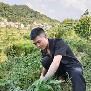 龙山土行者阿俐头像