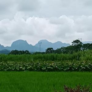 神山之光头像