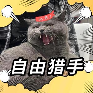 自由猎手cm头像