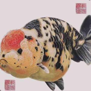 木木linde3986头像