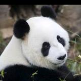 快乐点无烦恼头像