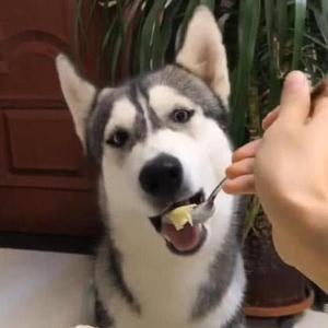 一人尐潇洒头像