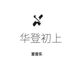 华登初上you头像