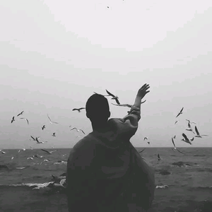 阿信24725990头像