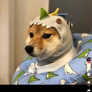 蚊子影视头像